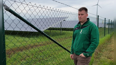 Stefan Heilmann ist das Lachen gründlich vergangen: Er hat Angst um seine Schafe. Die hatten auf der eingezäunten Fläche der PV-Anlage gegrast, als der Wolf mutmaßlich über den Zaun gesprungen ist. (Foto: Nina Daebel)