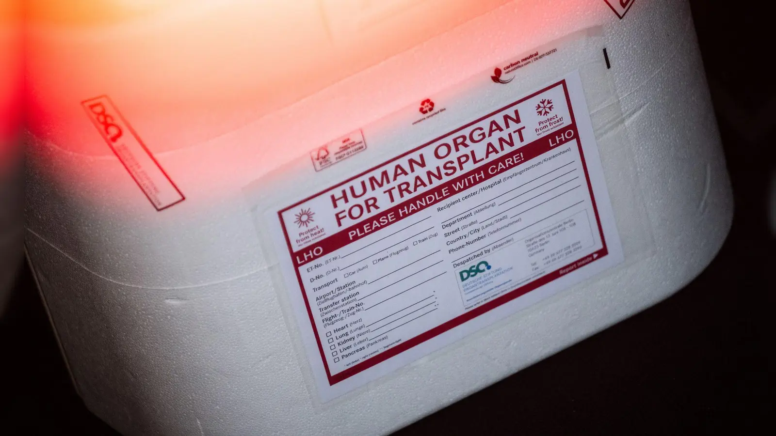 In Neapel braucht der kleine Junge dringend ein neues Spenderherz. (Symbolbild) (Foto: Sebastian Gollnow/dpa)