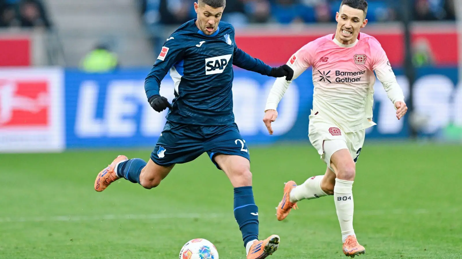 Bayer und Grimaldo (r.) rennen gegen Hoffenheim und Kramaric viel hinterher.  (Foto: Uwe Anspach/dpa)