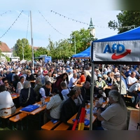 Die AfD hielt ihre Kundgebung auf der Schlosswiese in Abensberg ab. (Foto: Sven Hoppe/dpa)