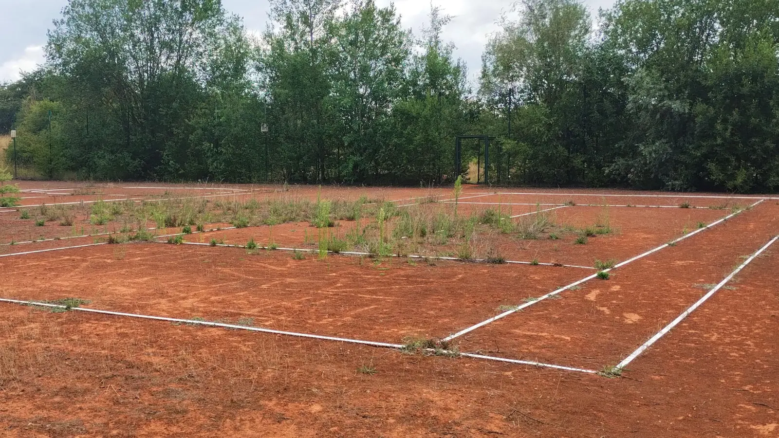 Auf diesen nicht mehr genutzten Tennisplätzen des TSV 1860 Ansbach sollen die neuen Padel-Courts gebaut werden. (Foto: Constantin Prosch)