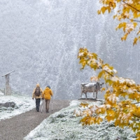 Die Schneefallgrenze liegt am Sonntag zunächst oberhalb von 2.500 Metern. (Foto: Jan Eifert/dpa)
