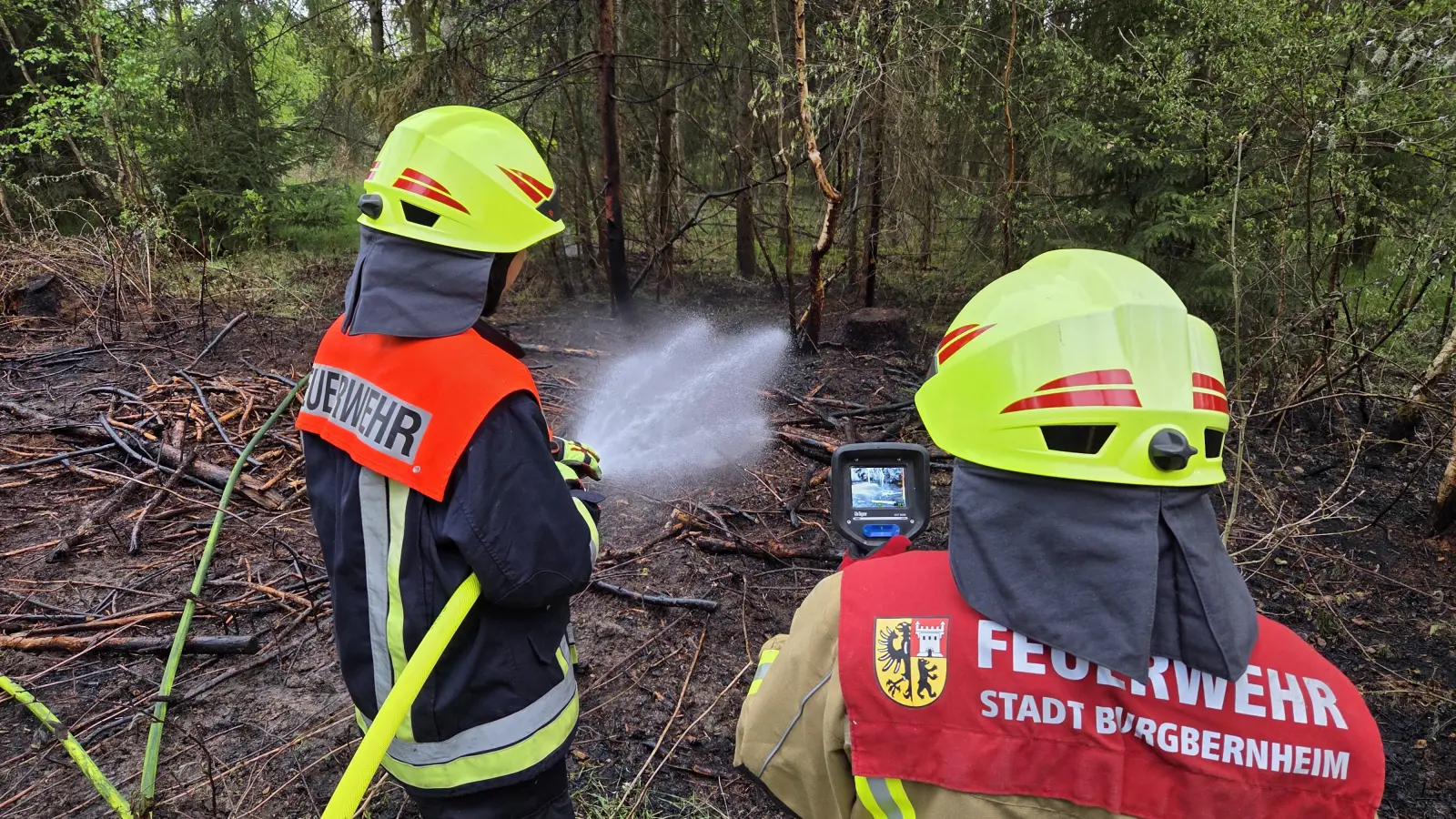 Zahlreiche kleinere Bäume sowie viel Unterholz wurden am späten Dienstagnachmittag in einem Waldstück bei Burgbernheim von Flammen vernichtet.  (Foto: Rainer Weiskirchen)