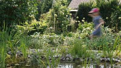 Anlässlich des Tags der offenen Gartentür am Sonntag, 30. Juni, können fünf Gärten im Landkreis besichtigt werden. Das Bild zeigt den Garten von Familie Brügel in Scheinfeld. (Foto: Familie Brügel)