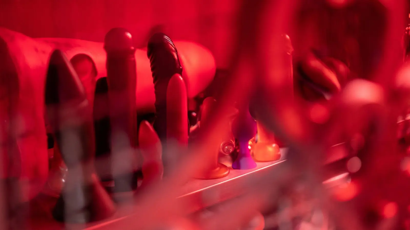 Vibratoren, Dildos, Analplugs: 19 Sextoys hat sich die Stiftung Warentest für ihre gleichnamige Zeitschrift genau angeschaut. (Foto: Sebastian Gollnow/dpa/dpa-tmn)