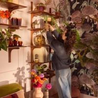 Wer nur wenig Platz für ausladende Pflanzen hat, kann mit hängenden und rankenden Arten die Wohnung verschönern. (Foto: Plants & Flowers Foundation Holland/dpa-tmn)