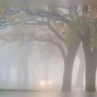 Nicht immer verlässlich: Lichtautomatiken erkennen Nebel oder diesiges Wetter nicht zuverlässig. (Foto: Patrick Pleul/dpa/dpa-tmn)