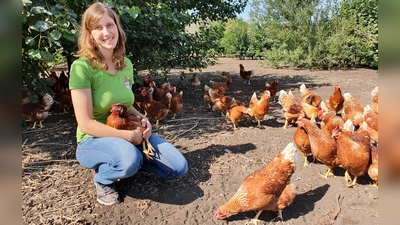 Der Weinmannshof in Kaubenheim hat sich seit dem Verbot des Kükentötens in Deutschland für das „Bruderhahn“-Konzept entschieden. Larissa Weinmann will aufklären. (Foto: Anna Franck)