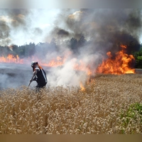 Schon aus dem Jahr 2019 stammt dieses Foto aus dem Bereich Baudenbach, ist allerdings aktueller denn je: Die Felderbrände häufen sich, doch der oberste Brandschützer des Landkreises sieht noch keinen Grund für Panik. (Foto: Feuerwehr Baudenbach/Werner Weglehner)