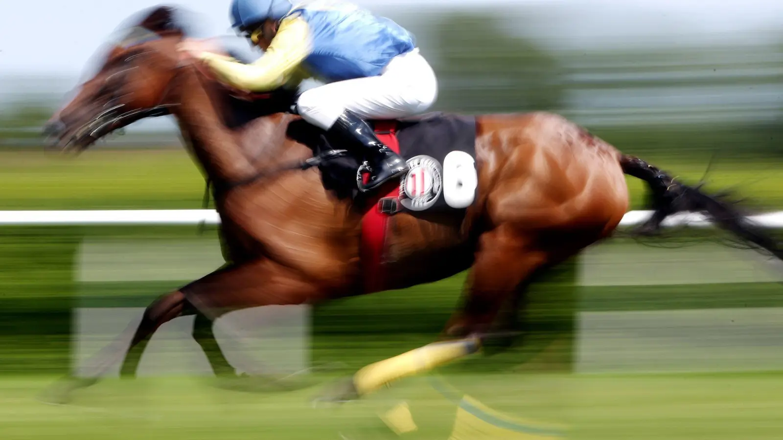 In einer Suppenküche findet ein Gast in seinem Essen den Mikrochip eines ehemaligen Rennpferdes. (Symbolfoto) (Foto: Malte Christians/dpa/dpa-tmn)