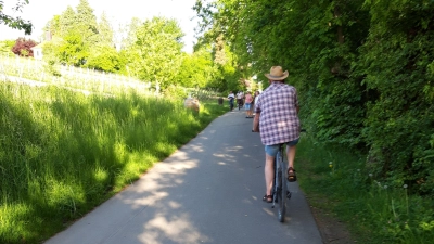 Fahrradfahren ist beliebt, aber auch mit der Gefahr von Unfällen verbunden. Weil daran gerade Seniorinnen und Senioren überproportional beteiligt sind, laden der Automobilclub Feuchtwangen im ADAC und der Seniorenbeirat nun E-Bike- und Pedelec-Fahrer zum Kurs „Sicher Fahrradfahren im Alter“ auf der Mooswiese ein. (Foto: Sabine Rohn)