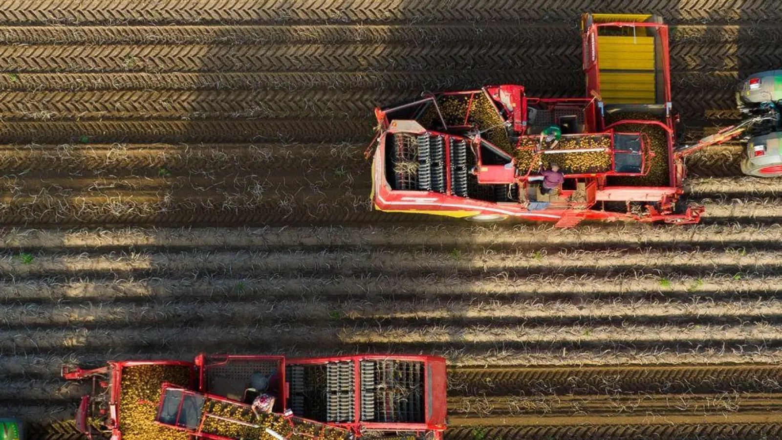 Derzeit ist offen, ob die Landwirtschaft bei der Umstellung auf alternative Antriebe auf staatliche Hilfe setzen kann. (Foto: Philipp Schulze/dpa)