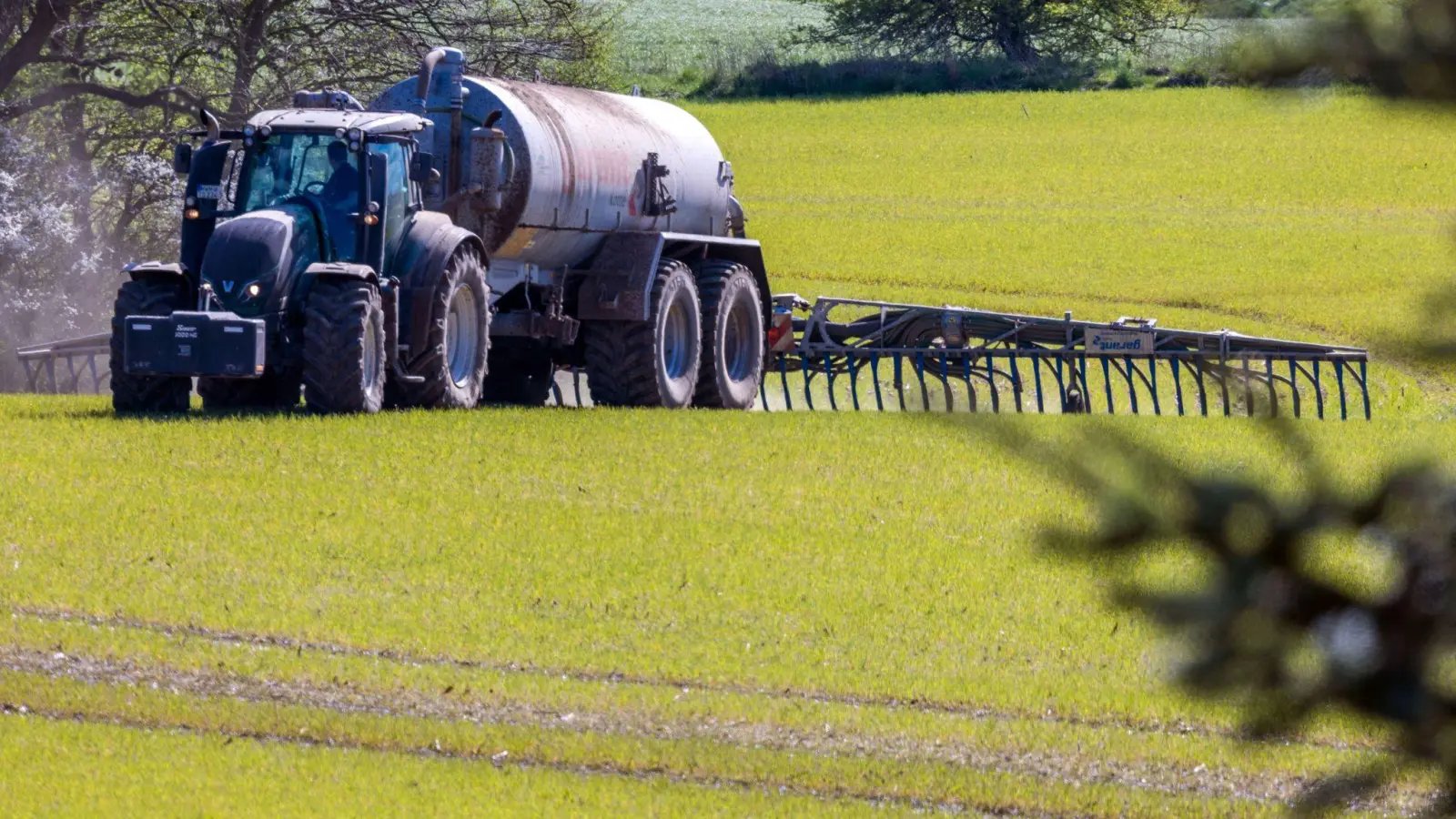 Das Bundesverwaltungsgericht Leipzig prüft, ob die bayerische Düngeverordnung Landwirte zu stark einschränkt. (Archivbild) (Foto: Jens Büttner/dpa)