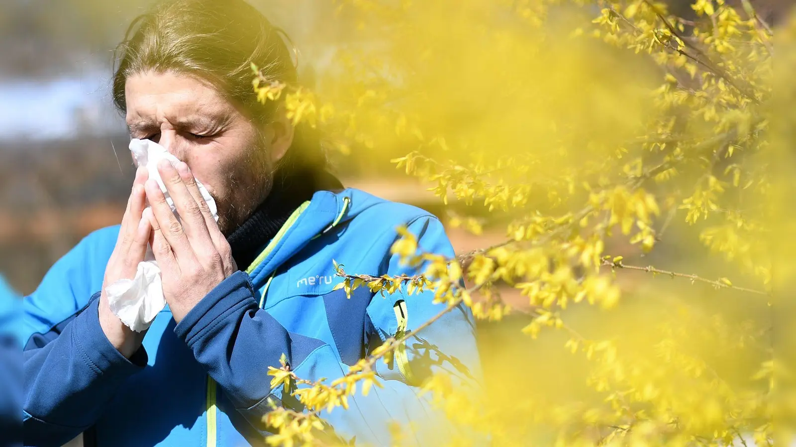 Daten zum Pollenflug sind in Bayern online abrufbar. (Symbolbild) (Foto: Angelika Warmuth/dpa)