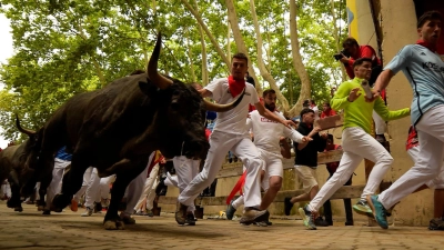 Die berühmteste Stierhatz Spaniens findet in Pamplona statt. (Archivbild) (Foto: Alvaro Barrientos/AP/dpa)