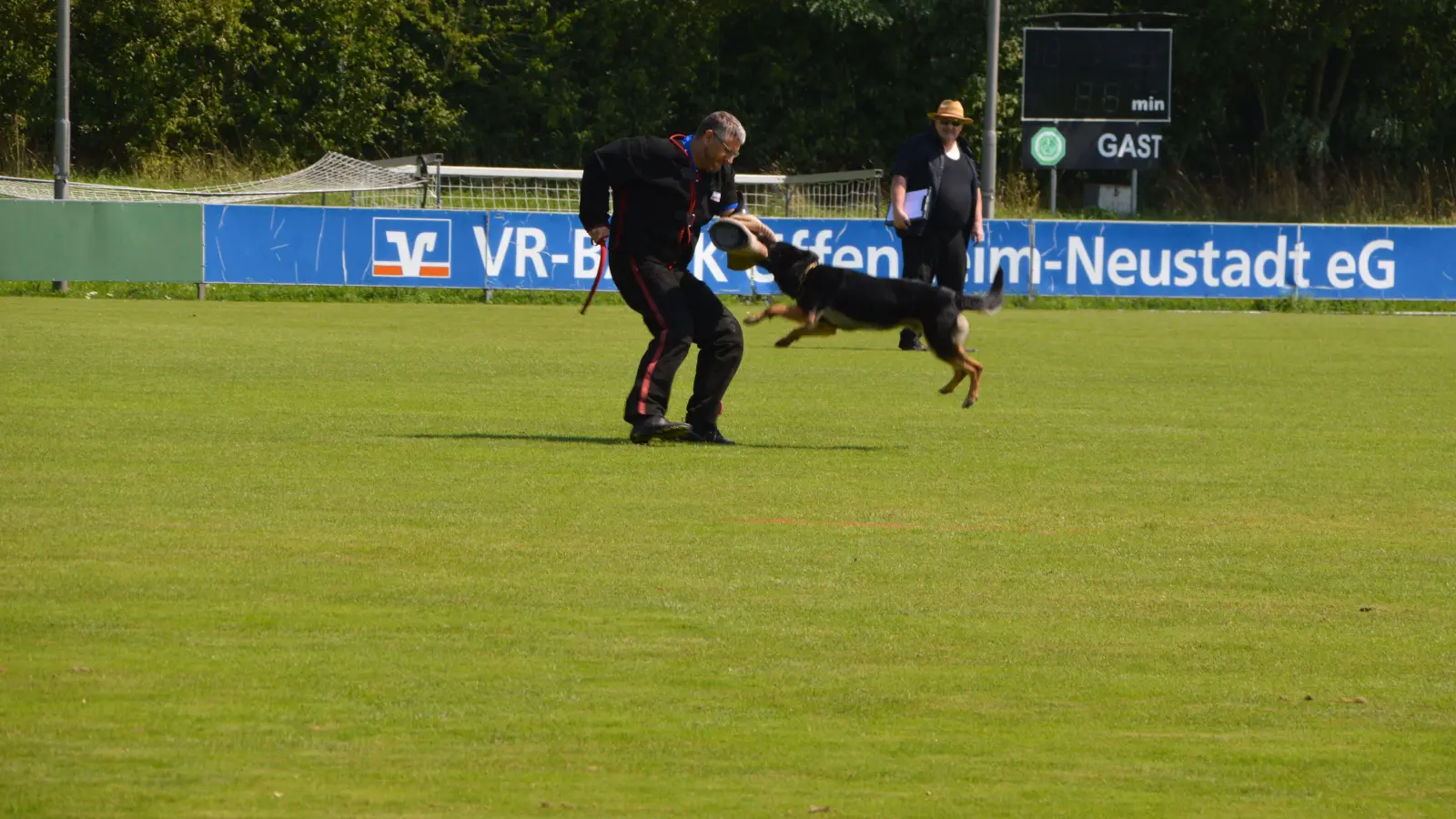 Attacke auf Kommando: Aus vollem Sprint springt dieser Schäferhund seinen vermeintlichen Feind an und beißt in den Spezialhandschuh. Wettkampf-Richter Gerd Beck (im Hintergrund) scheint mit der Angriffsleistung sehr zufrieden zu sein. (Foto: Johannes Zimmermann)