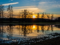 Winterliche Ruhe ... - gesehen bei Diebach (Foto: Johann Schmidt)
