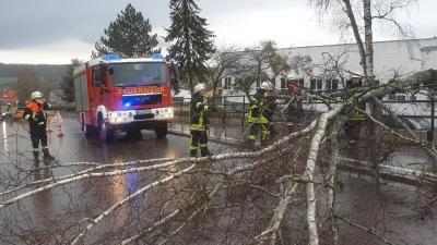 Am Freitag beseitigte die Feuerwehr in Wieseth einen umgestürzten Baum nach einem kurzen Unwetter. (Foto: Wolfgang Grebenhof)
