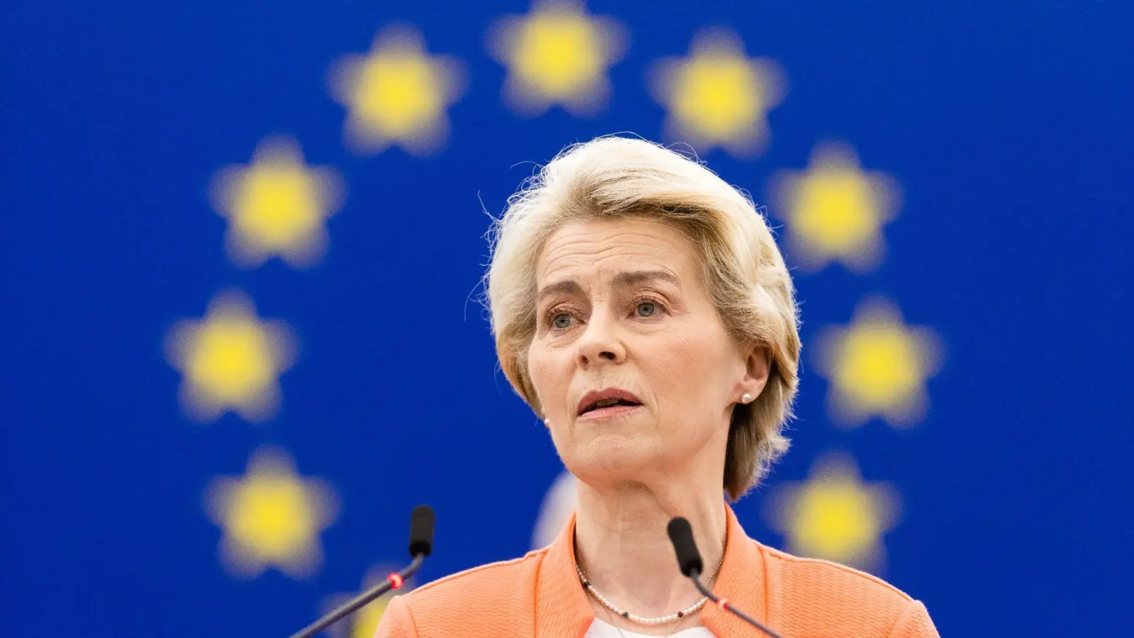 Nicht alle Länder halten sich an die Sanktionen gegen Russland. Deshalb will die EU-Kommission unter Führung von Ursula von der Leyen strengere Konsequenzen einführen. (Foto: Philipp von Ditfurth/dpa)