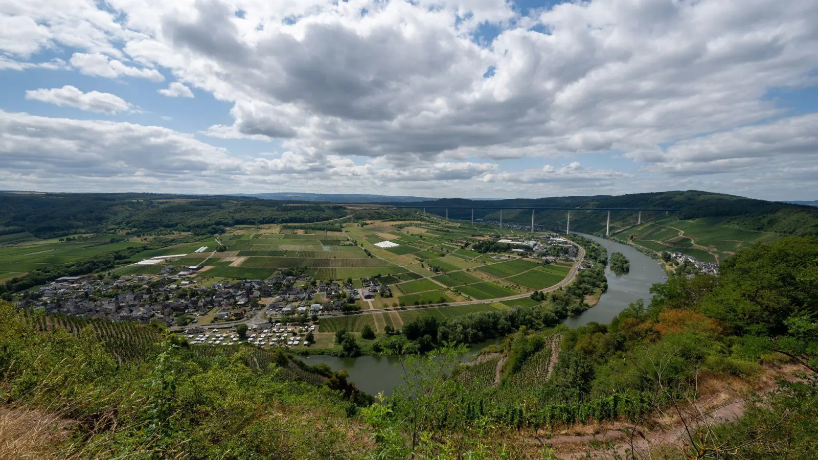 Blick auf die Mosel bei Ürzig. Die große Hitze bleibt in den kommenden Tagen aus.  (Foto: Harald Tittel/dpa)