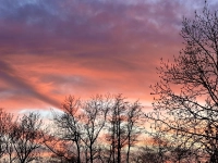 Abendleuchten - gesehen in Steinsfeld (Foto: Karl-Heinz Mayerhofer)