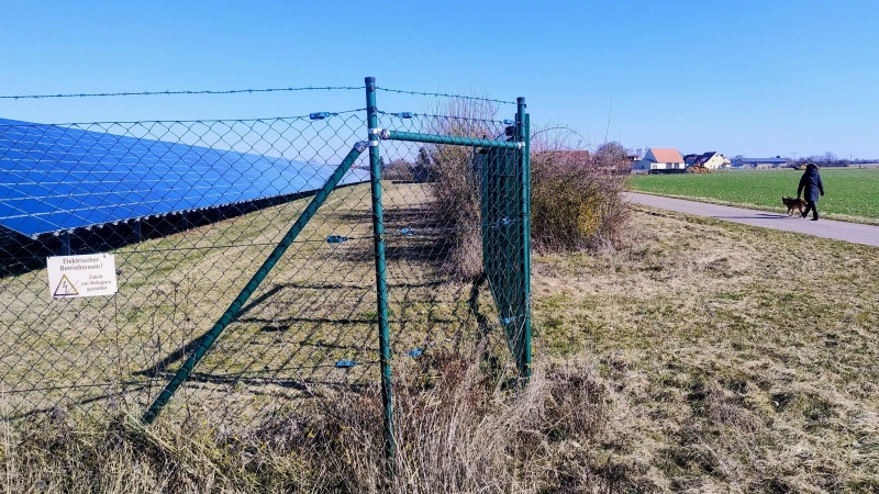 Am Ortsrand von Neuhöflein, einst dreimal Spitzenreiter in der Kategorie Ortsteile der Solarbundesliga, gibt es bereits eine PV-Freiflächenanlage. Jetzt soll eine Anlage hinzukommen, auf der Strom und Getreide gleichzeitig geerntet werden können. (Foto: Eckard Dürr)