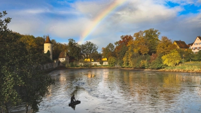 Die Fischerntewoche startete unter einem Regenbogen mit der Karpfenernte am Rothenburger Weiher. (Foto: Martina Haas)