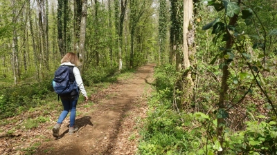 Wann kommt das nächste Industriedenkmal? Unterwegs auf dem Minett-Trail (Foto: Andreas Drouve/dpa-tmn)