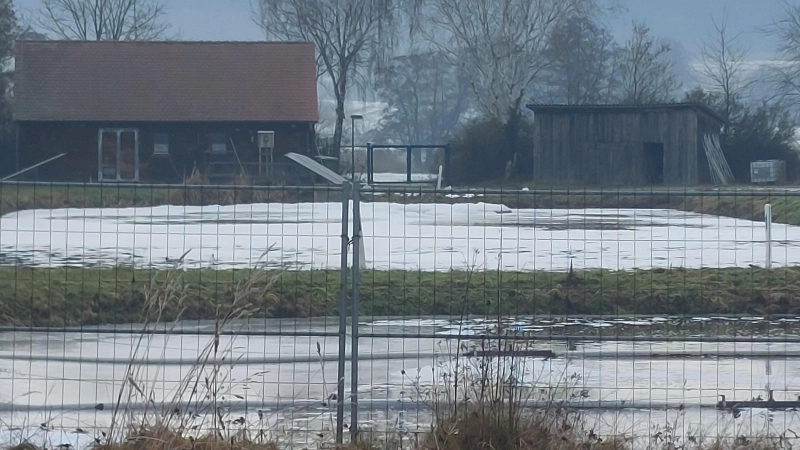 Neben den Becken der Teichkläranlage Pahres entsteht das Projekt des Zweckverbandes. (Foto: Sandra Buchwald)