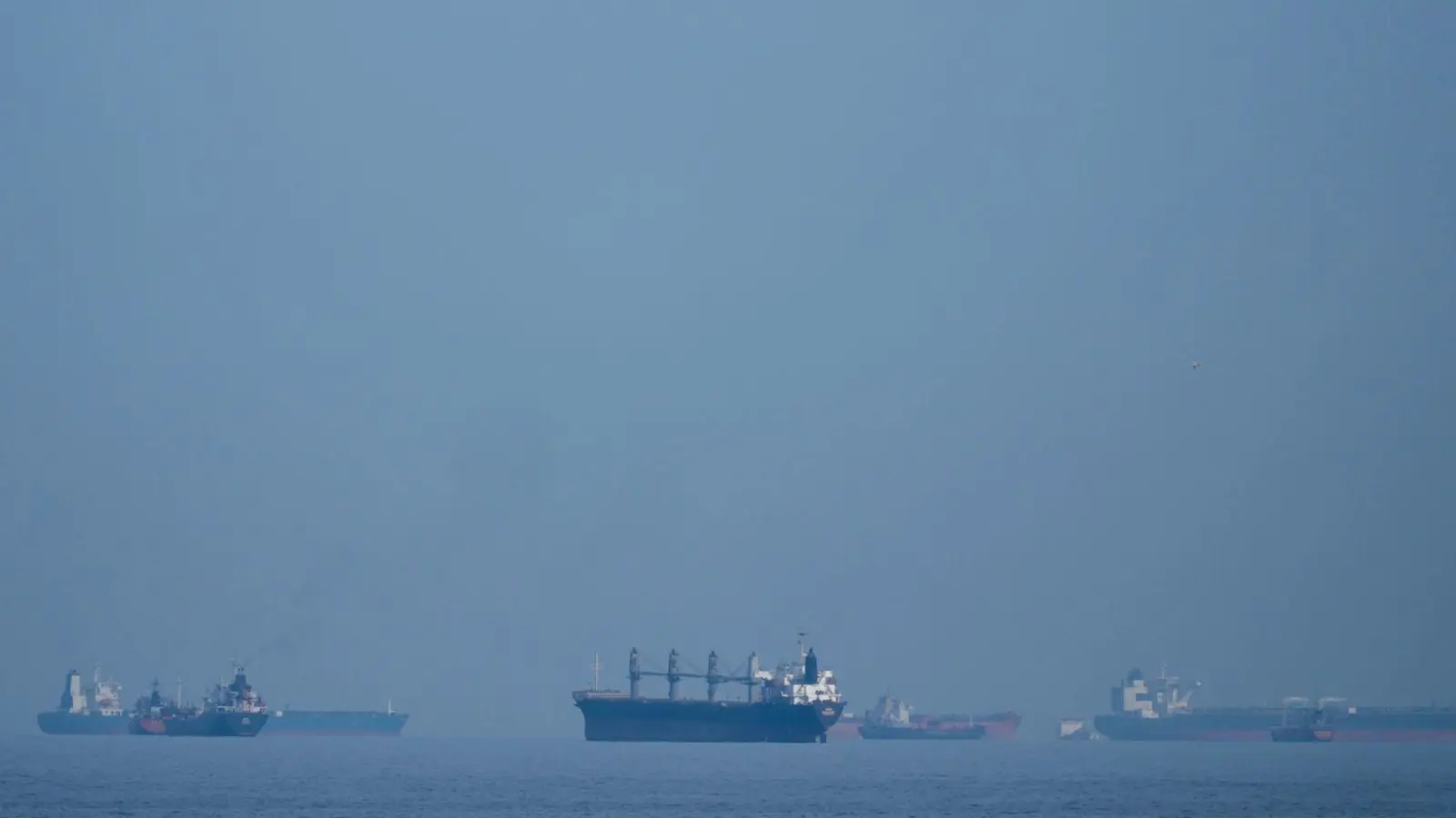Der Schiffsverkehr ist in der Straße von Hormus während des Krieges weitgehend zum Erliegen gekommen. (Archivbild)  (Foto: Altaf Qadri/AP/dpa)