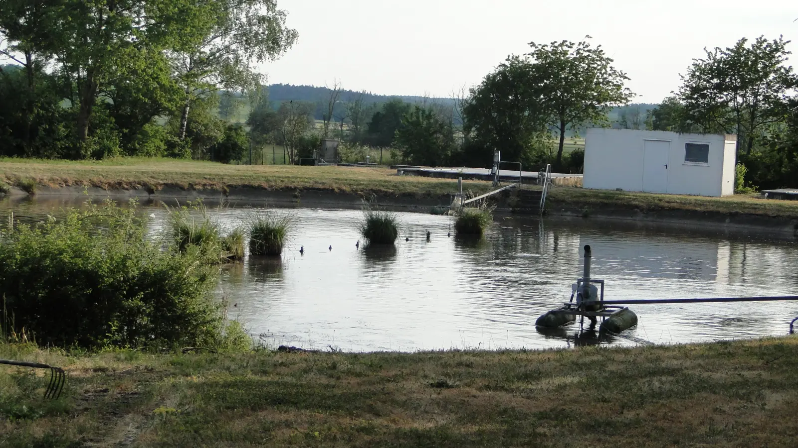 Die alte Teich-Kläranlage in Colmberg. Auf dem Gelände hinter den Klärteichen soll die neue Zentral-Kläranlage für Colmberg, Geslau und Windelsbach gebaut werden. (Archivfoto: Winfried Vennemann)