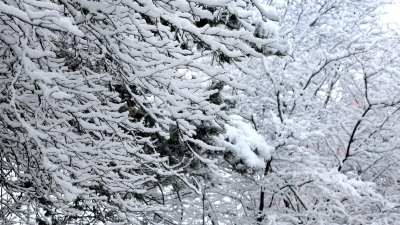 Kurz vor dem ersten Osterferien-Wochenende kam noch einmal der Schnee nach Bayern zurück.  (Foto: Karl-Josef Hildenbrand/dpa)