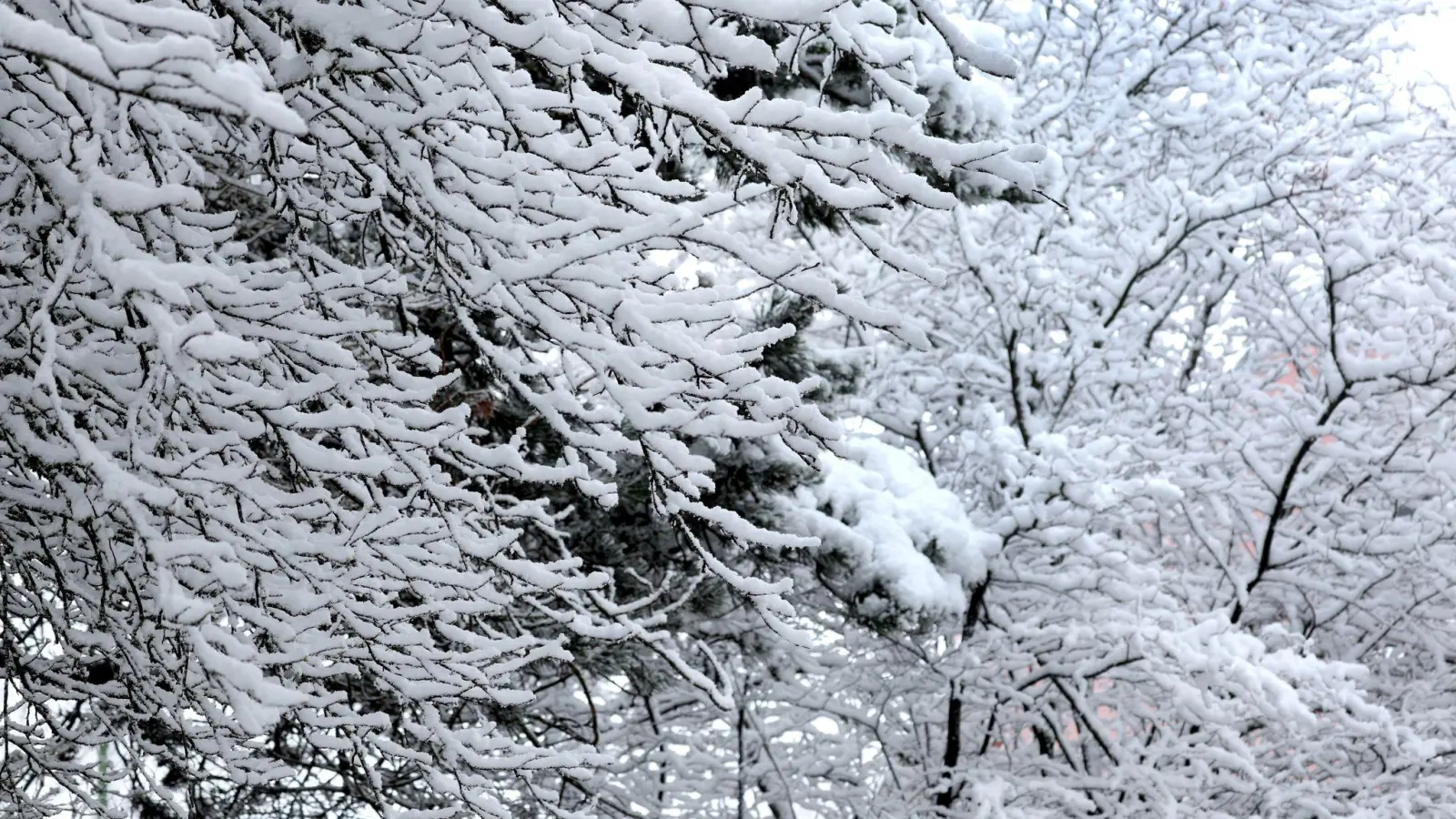 Kurz vor dem ersten Osterferien-Wochenende kam noch einmal der Schnee nach Bayern zurück.  (Foto: Karl-Josef Hildenbrand/dpa)