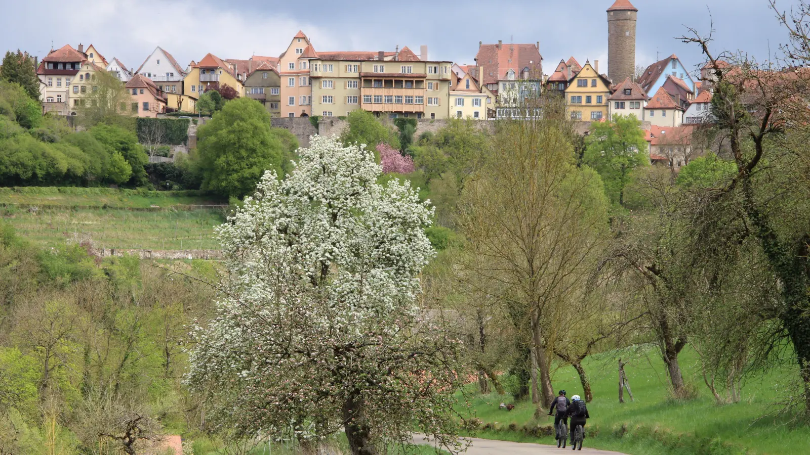 Menschen auf dem Fahrrad sollen es leichter im Verkehr in und um die Stadt haben. Dafür gibt es nun ein Radwegekonzept. (Archivbild: Clarissa Kleinschrot)