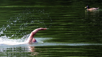Wer im See schwimmt, ist nie allein - im Gewässer sind auch viele Fische unterwegs.  (Foto: Daniel Reinhardt/dpa/dpa-tmn)