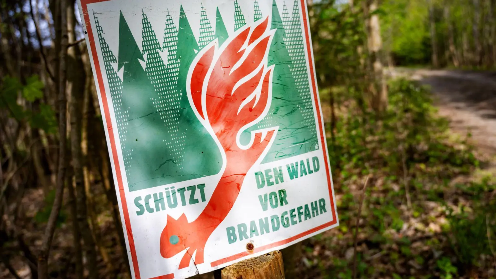 Höchste Alarmstufe im Wald: In Teilen Deutschlands gilt Gefahrenstufe 5 und schon ein Funke kann zur Katastrophe führen. (Foto: Stefan Sauer/dpa)