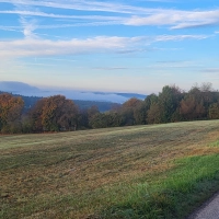 Revierförster Johannes Wüst referierte über Aktuelles aus dem Gemeindewald. Ein Paradebeispiel dafür ist der Wald im Tal zwischen Schlierberg und Langfurth. (Foto: Albert Schülein)
