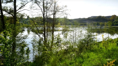 Am Soldatenweiher bei Obereichenbach machten Passanten einen erschreckenden Fund. (Archivbild: Jim Albright)