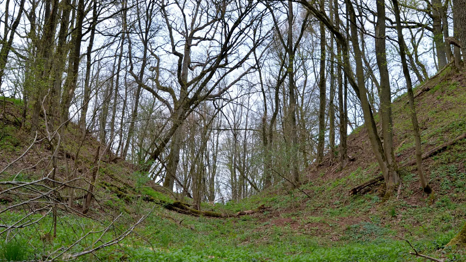 Der Graben zwischen Vor- und Hauptburg am Grubsberg (rechts): Dort muss einst eine Zugbrücke zum Kropfsberg gestanden haben. (Foto: Johannes Hirschlach)