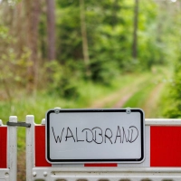 In Bayern besteht in den kommenden Tagen Waldbrandgefahr. (Archivbild) (Foto: Daniel Karmann/dpa)
