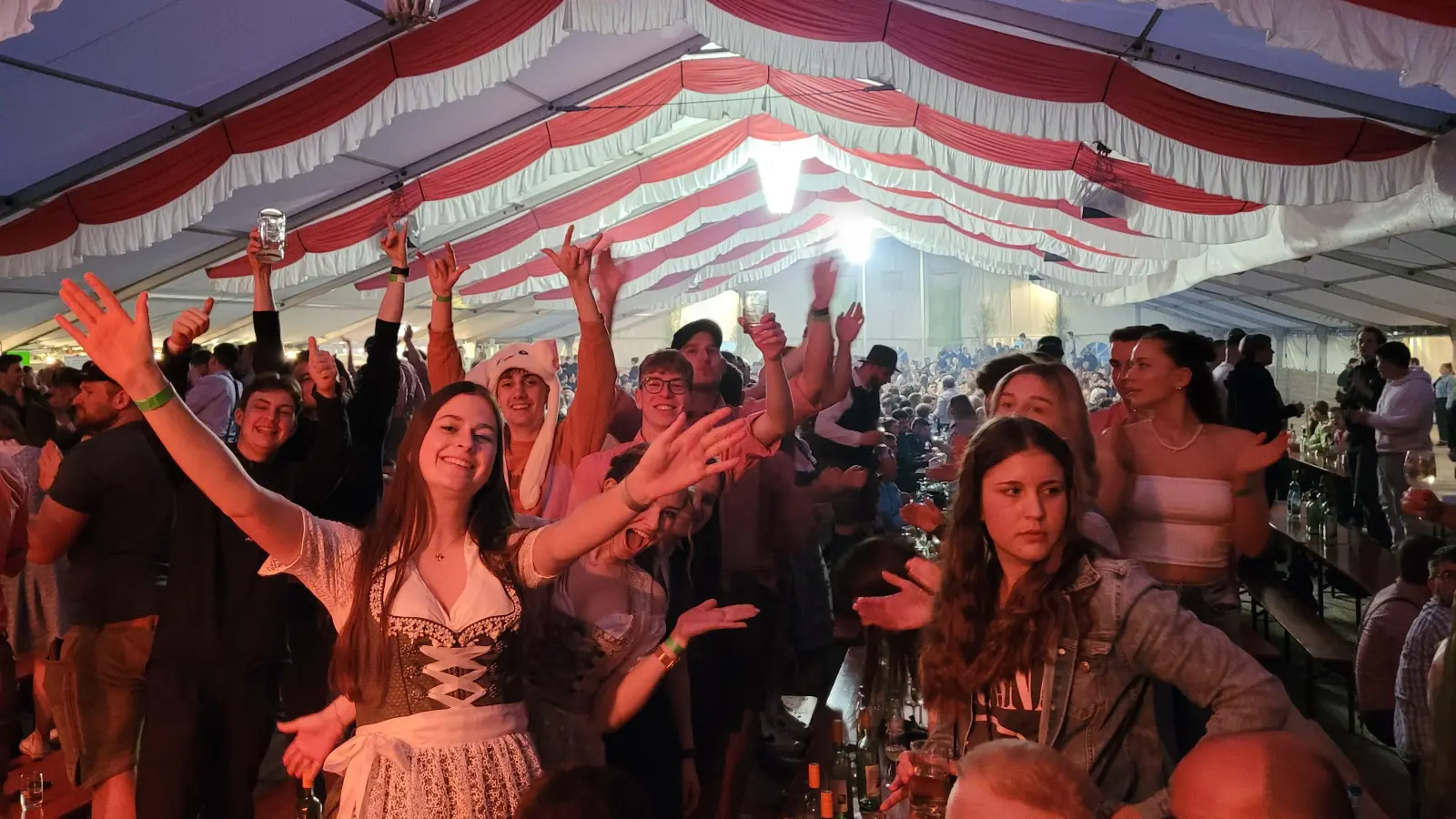 Das Weinfest in Nenzenheim im Landkreis Kitzingen lockt jedes Jahr viele junge Menschen aus der Region an. Das Programm steht fest. (Archivbild: Carmen Lechner)