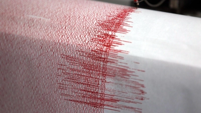 Vor der Südspitze Südamerikas hat es ein starkes Erdbeben gegeben. (Symbolbild) (Foto: Oliver Berg/dpa)