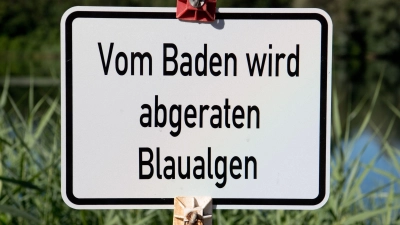 Bei einer Untersuchung im Baggersee Breitengüßbach wurden vereinzelt Blaualgen nachgewiesen.  (Foto: Julian Stratenschulte/dpa)