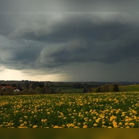 Dunkler Himmel über Bayern: Der Samstag bringt Gewitter.  (Foto: Alexander Wolf/onw-images/dpa)