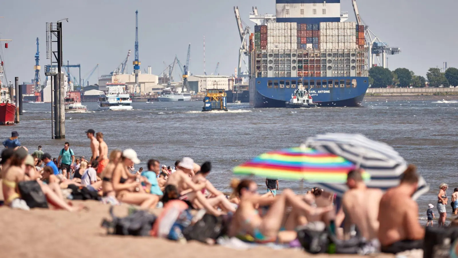Trotz vieler Strände in Hamburg gibt es an der Elbe keine Badestelle - die CDU will das ändern (Archivbild). (Foto: Georg Wendt/dpa)