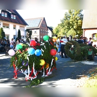 Die Kerwafichte wird am Samstag ab 15 Uhr vor dem Gemeindehaus aufgestellt.  (Foto: Gudrun Schwarz-Köhler)