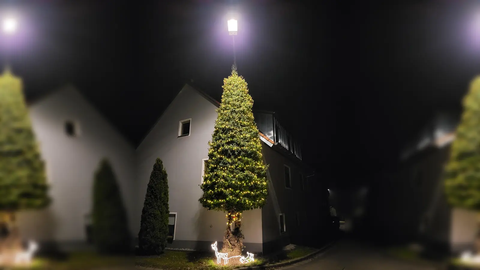 In Mittelbach erstrahlt auch in diesem Jahr das Efeuwunder.  (Foto: Florian Weiß)