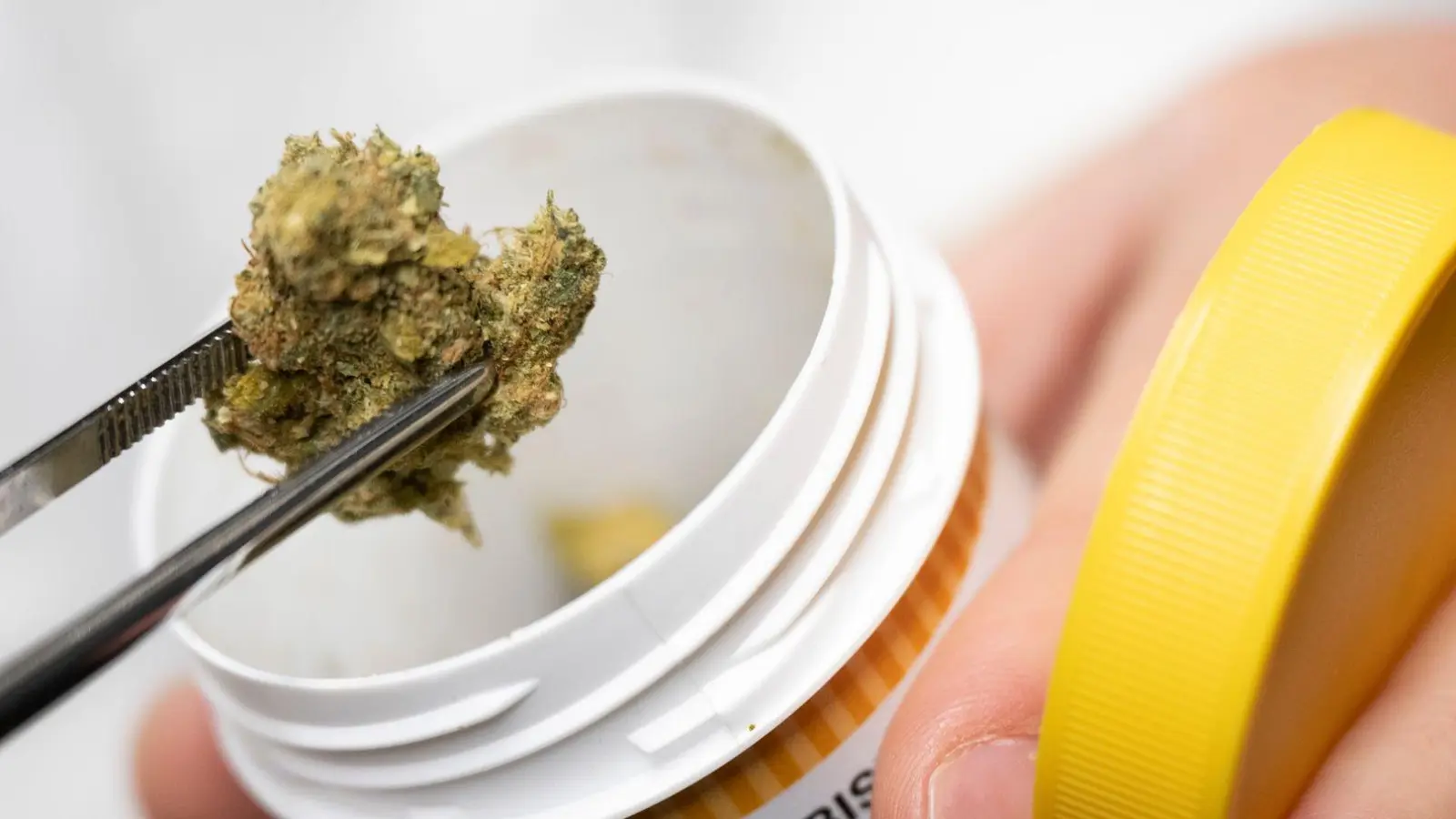 Bei Cannabis auf Rezept ist meist viel mehr Wirkstoff enthalten als bei Cannabis im Straßenhandel. (Archivbild) (Foto: Boris Roessler/dpa)