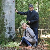 Ein ausgewählter Baum wird zum persönlichen Ort der Erinnerung und der letzten Ruhe. (Foto: RUHEBAUM)