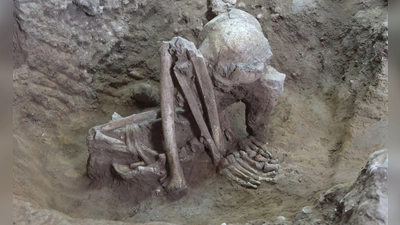 Dieser Fund soll älter als 9.000 Jahre sein. (Foto: Yousuke Kaifu;Hirofumi Matsumura/dpa)